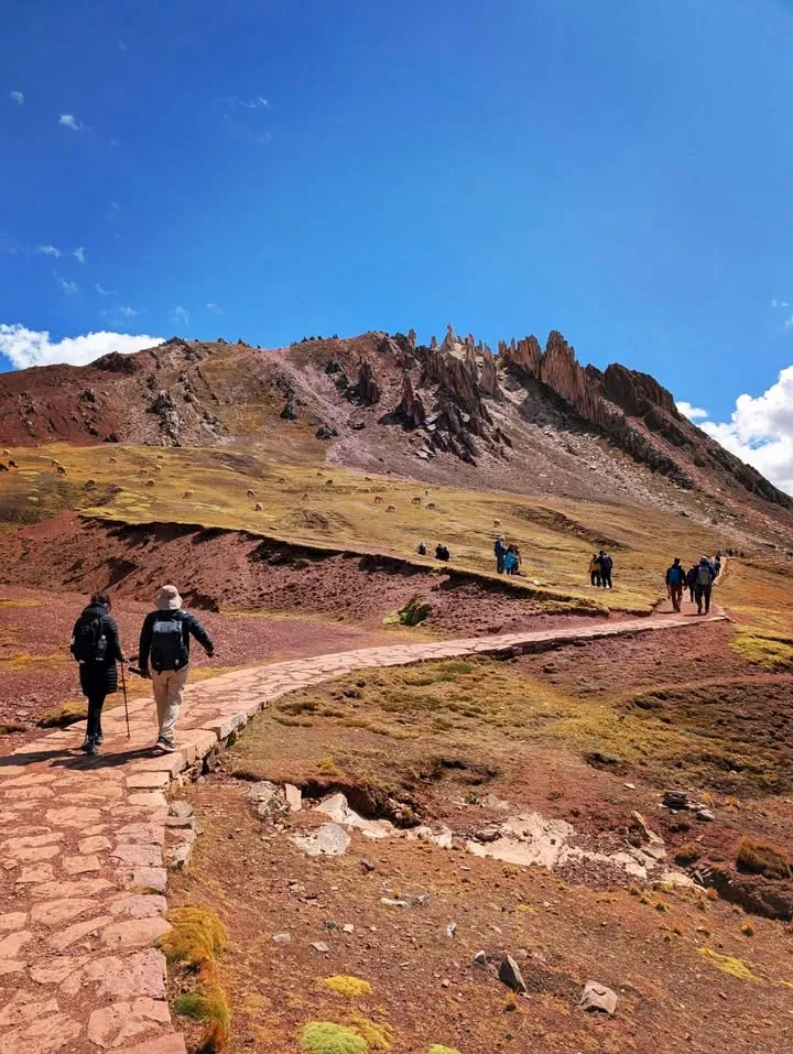 Sendero hacia Palcoyo con llamas y Bosque de Piedras